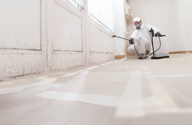 24/7 Emergency Attic Mold Remediation experts in Goodyear, AZ
